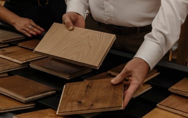 Havwoods 2026 latest timber products